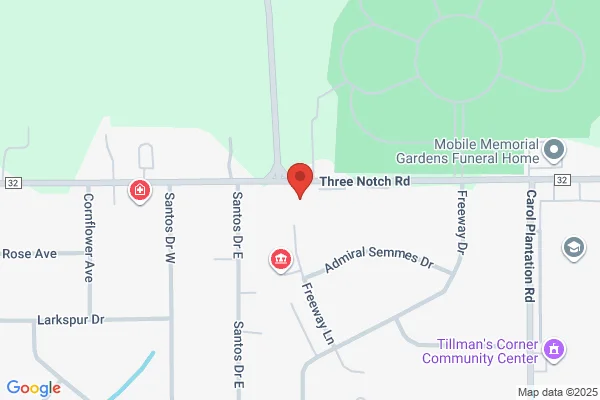 Map showing location at 30.588678, -88.187096