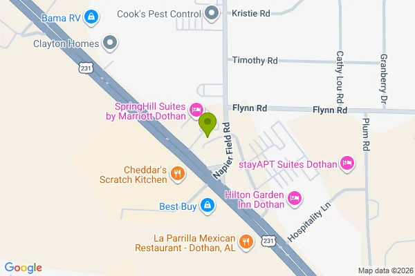 Map showing location at 31.271488, -85.447892