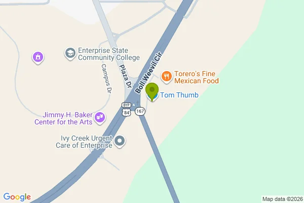 Map showing location at 31.296874, -85.832962