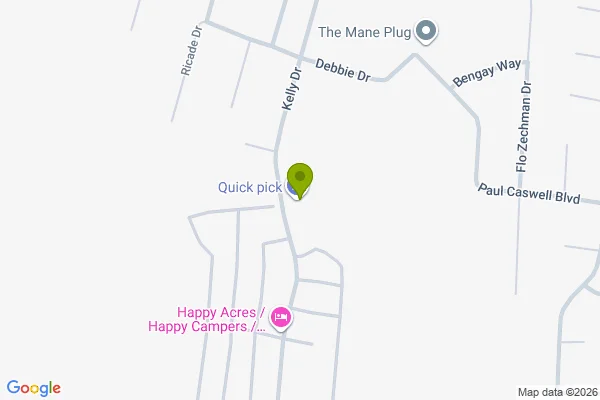 Map showing location at 31.808790, -81.623968